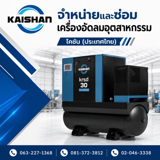 เครื่องปั๊มลมอุตสาหกรรม